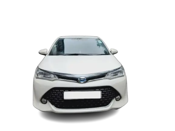 Comfortable air-conditioned private vehicle – Sri Lanka tour driver and transport